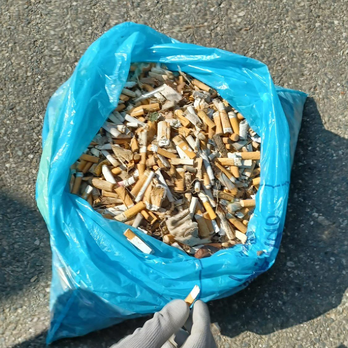 Pinze, guanti, sacchi e tanta voglia di darsi da fare. Un sabato mattina speciale per quasi seicento persone del team Sella in nove città d'italia. Insieme a <a href="/Legambiente/">Legambiente</a> per pulire strade, piazze, parchi #SellaCSRDay2023 #Sella