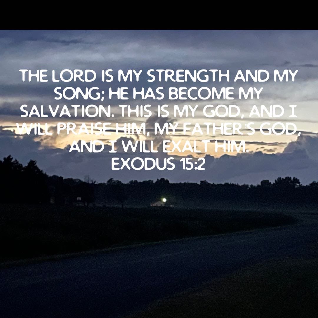 Robert Molnar @RTM1963 - Twitter Profile | Sotwe