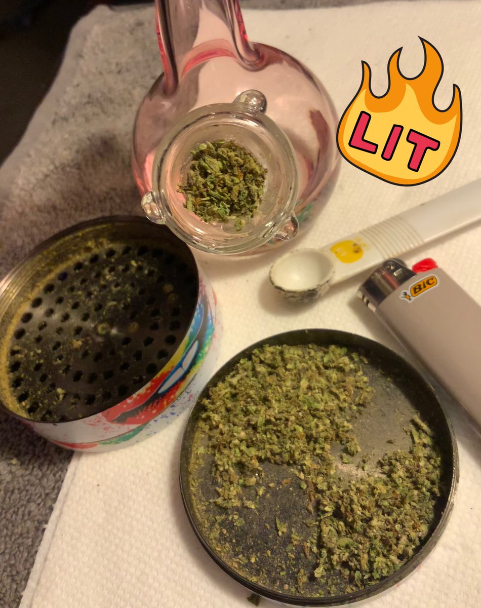 APeachYPoV's tweet photo. #SaturdayMood #StonerFam #Mmemberville #CannabisCommunity #DogsAreFamily #GodfatherOG #ShihPoo #Hope
Puppies had my ass up at 3am again so here we are #Twitt Its Saturday friends #Elevate #TokesUp #SmokewithM3
Share your #SaturdayAdventures #SaturdayVibes #GoodVibesOnly https://t.co/QmrzKFkj98