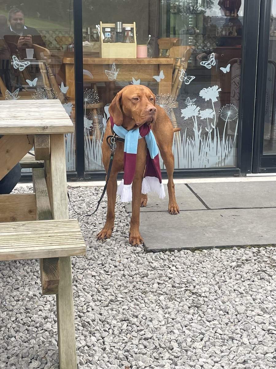 Up the Clarets! #twitterclarets