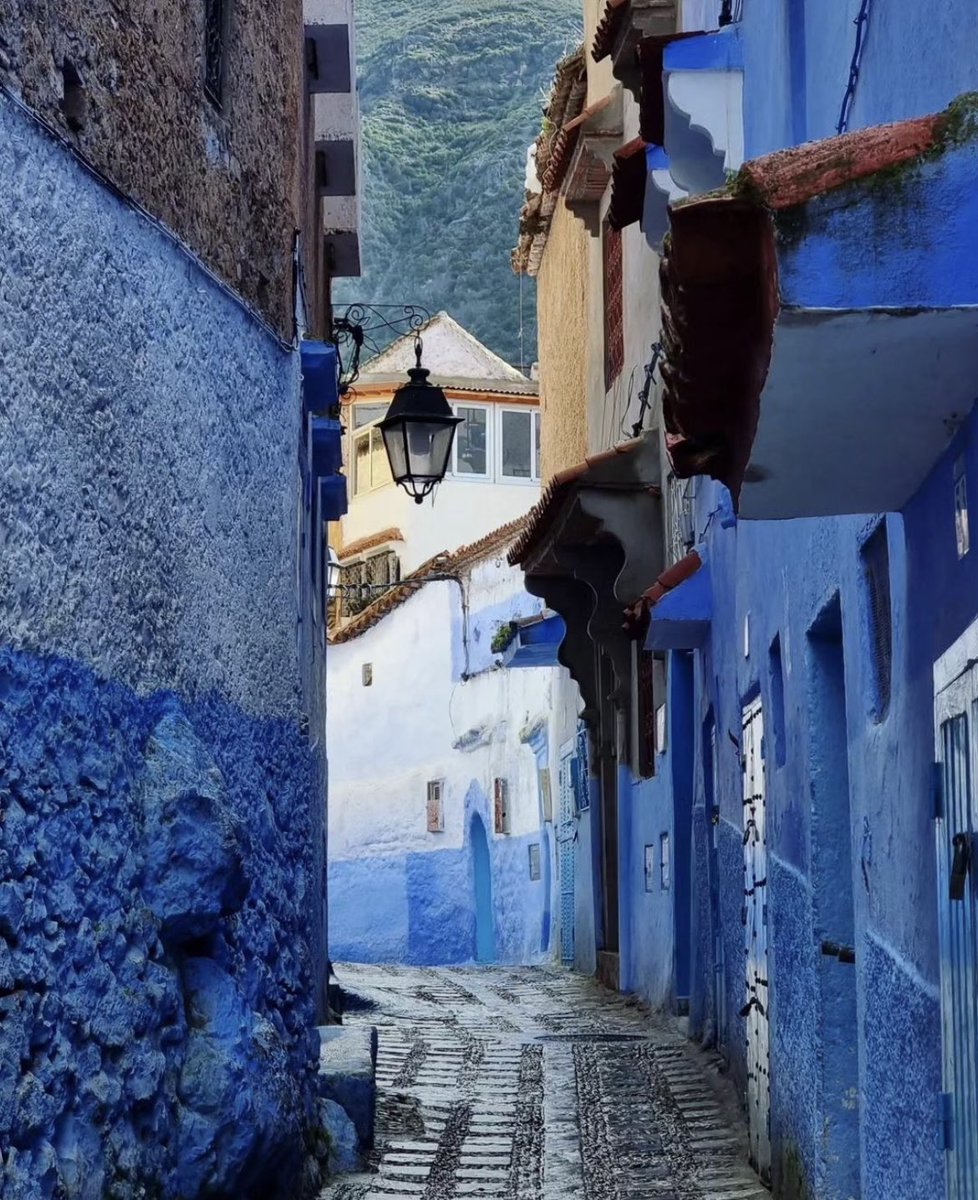 MoorishTimes's tweet photo. The beauty of Chaouen, Morocco 🤍 https://t.co/cevCDNaaAq