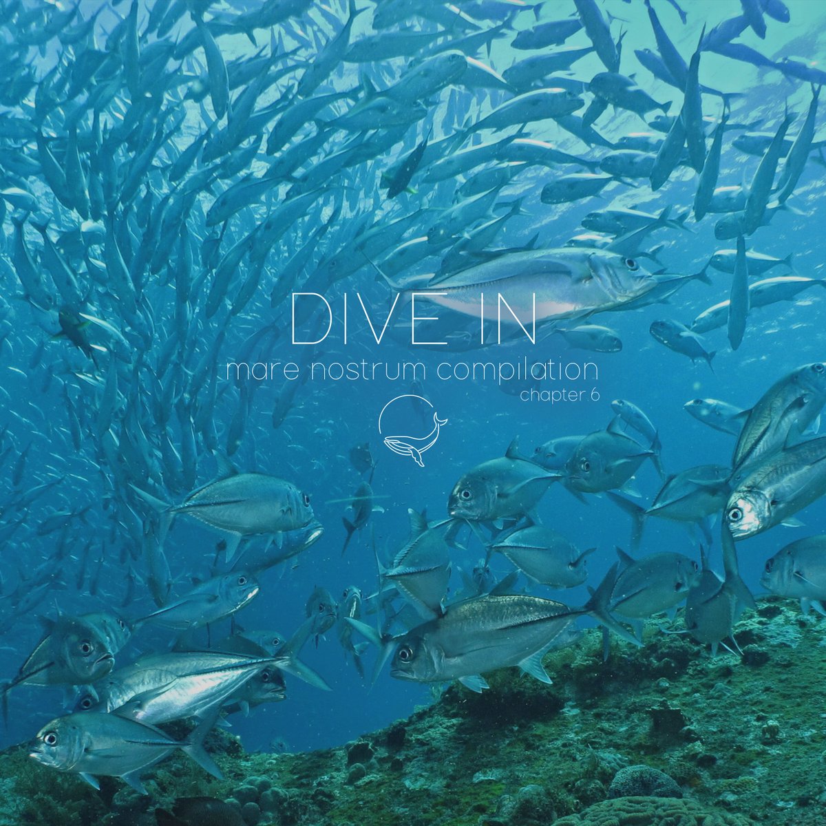 Today is World Water Day. 💧 And it's the perfect day to release our 6th Dive In compilation.
Celebrate water in all its forms with 10 ambient tracks by some incredible artists! 
Bandcamp marenostrumlabel.bandcamp.com/album/dive-in-…
Stream fanlink.to/nh7y

#ambient #ambientmusic