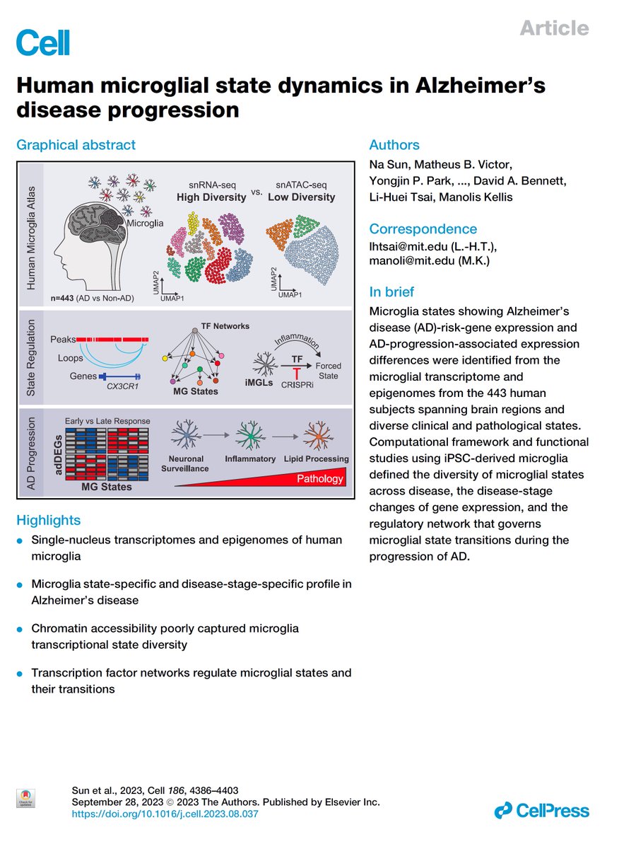 manoliskellis's tweet photo. Paper 3 by @nasun818 and @MatBVictor reports 194k #microglia #scRNA transcriptomes and #scATAC epigenomes across 443 donors in #Alzheimers
1. Distinguish 12 microglial states including #inflammatory, #lipid-processing, and #homeostatic, which is most disrupted in AD
2. Discover 1542 AD-dysregulated #adDEG genes, including both state-specific and disease-stage-specific changes
3. Regulatory #circuitry of TF-enhancer-gene links and #regulators of microglial state #transitions
4. #Reprogramming of inflammatory #iPSC-derived microglia to homeostatic states by modulating our predicted TF drivers
5. AD #GWAS target genes mapping to specific microglial states, and their stage-specific changes in AD progression
Paper: https://t.co/NzEJF1wqdV
Data: https://t.co/wtIfoTj8cv
Tweetorial: https://t.co/iCbajinMZe by @MatBVictor 
News: https://t.co/oLDuBBawgk
#Neuroscience #Inflammation #NeuroImmune #ROSMAP #AD430