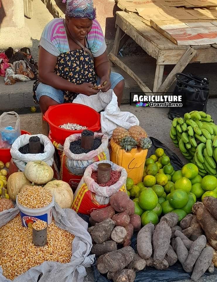 CiviqueEtmoral's tweet photo. Jou Samdi ,Jou mache nan 10 depatman peyi Ayiti, 🇭🇹
Jou pou n manje pwodiksyon lakay, 
Jou pou n konsome pwodiksyon nasyonal. 

Ann kore 
Ankouraje 
Manje pwodiksyon lakay ayiti 🇭🇹 https://t.co/MKzQTUHUJB