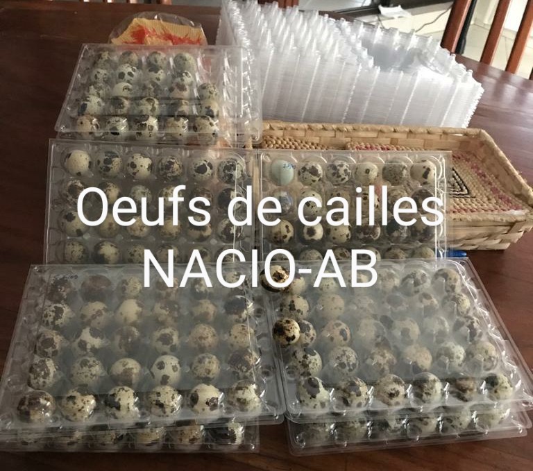 AbNacio's tweet photo. Disponible au 67 46 97 20 https://t.co/oSDz0f3sP7