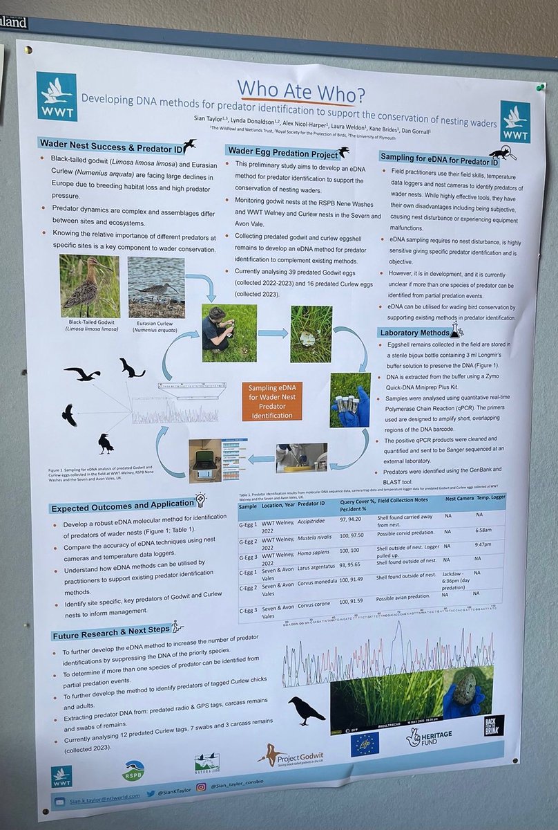 Very proud of @SianKTaylor, presenting early findings from her intern year @WWTworldwide to explore predators of ground nesting waders #eDNA #IWSG2023 #WomeninStem working with me @donaldsonlynda1 @KaneBrides @Dan_Gornall and others