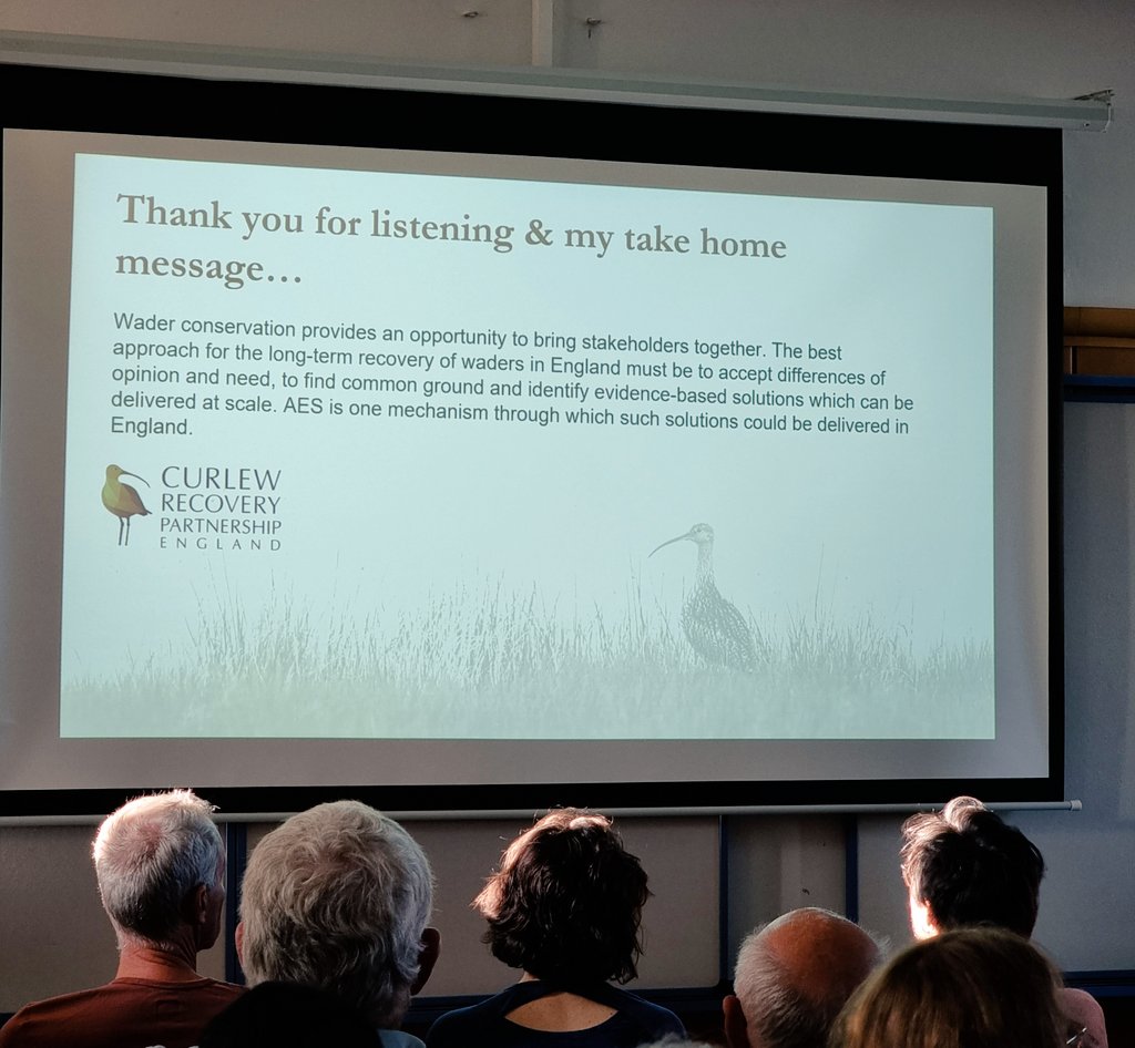 Kane Brides tweet media