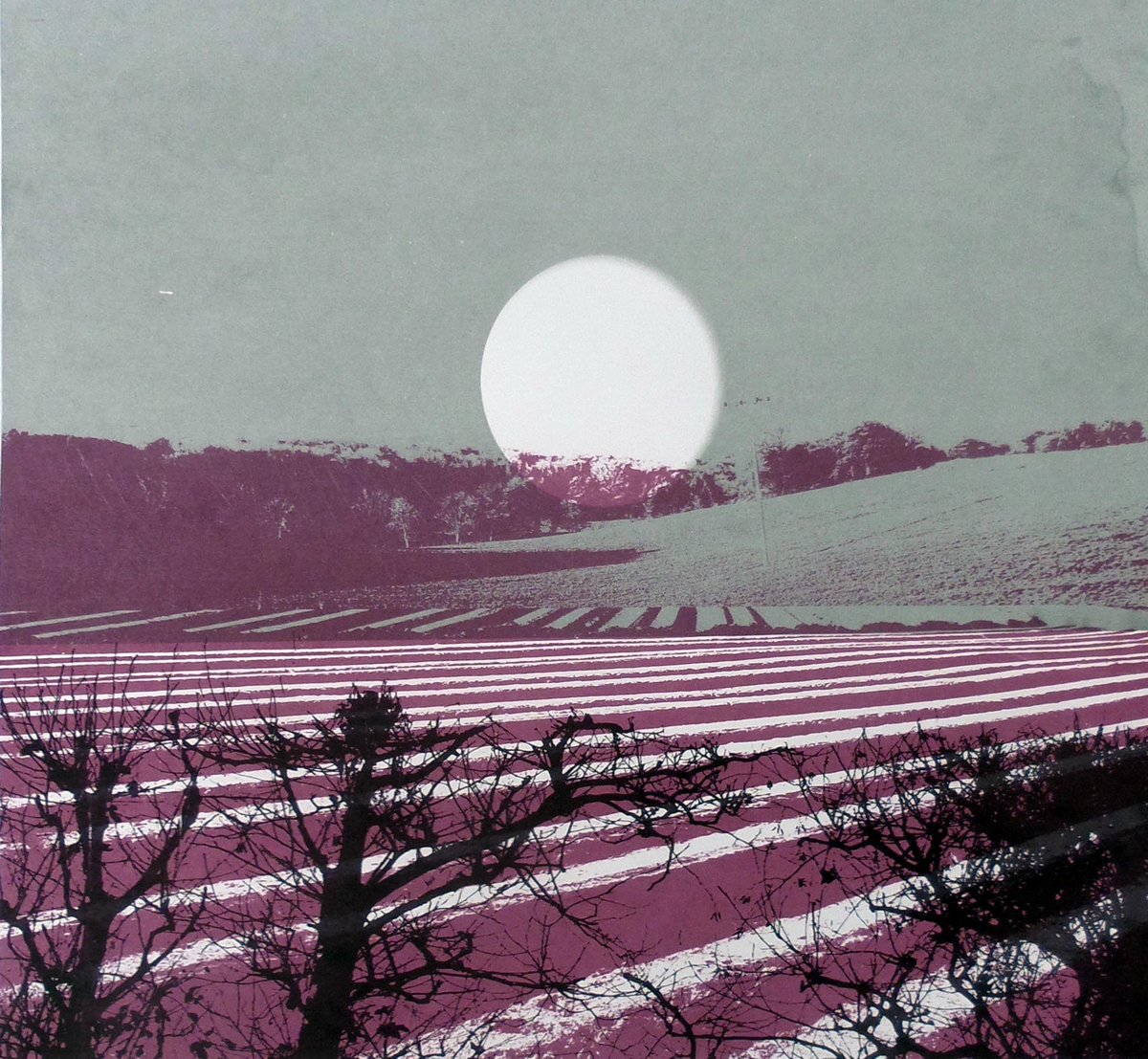 Did you seen the Supermoon yet ? It's also a Harvest Moon large in the sky- magical and mysterious  - was wonderful in Kent last night #whitstable #Kent #moonlight #fullmon #HarvestMoon #SuperMoon #painting #landscape #fields #furrows #trees #SaturdayThoughts