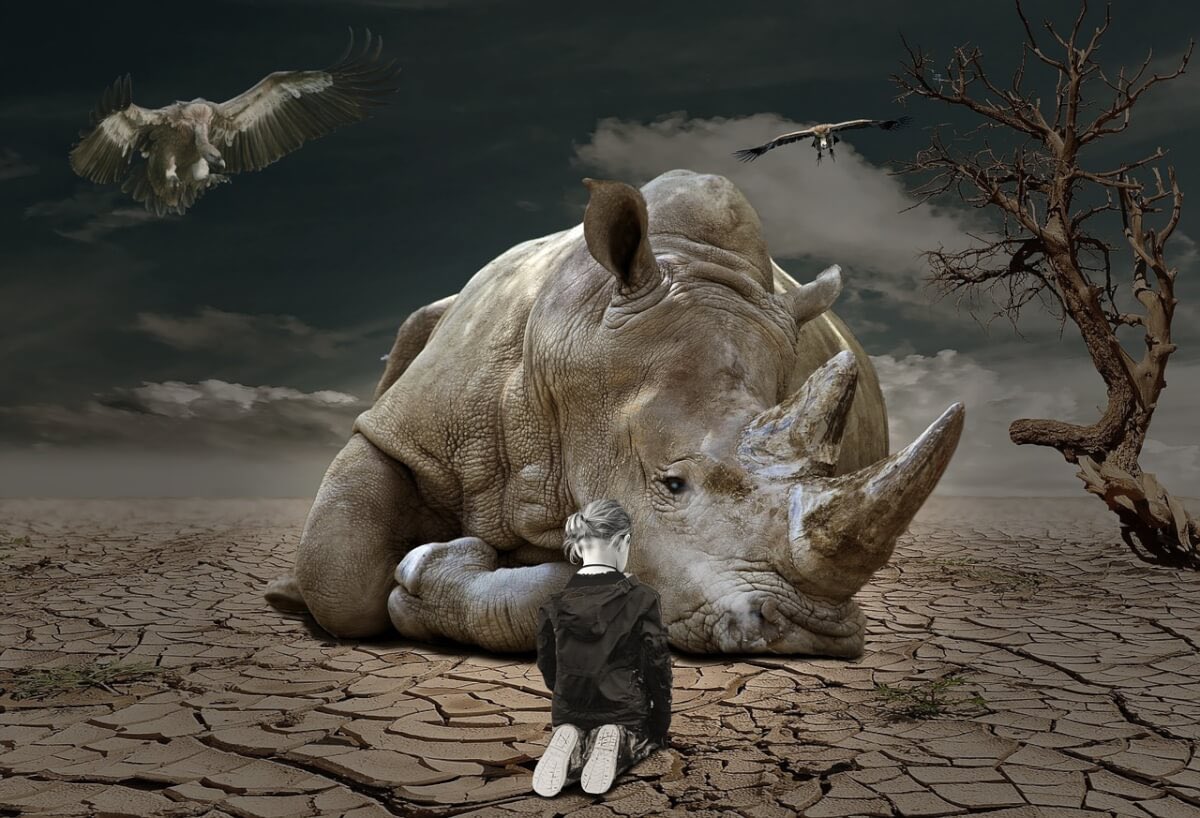 savetotalworld's tweet photo. Since 2010, 467 species of animals have been declared extinct. Some of them could have disappeared a few years earlier, but the fact has been recorded only now. Nevertheless, it is obvious that the biological diversity of the Earth has reached crisis indicators

#STW  #saveworld https://t.co/ViXYXswTYZ
