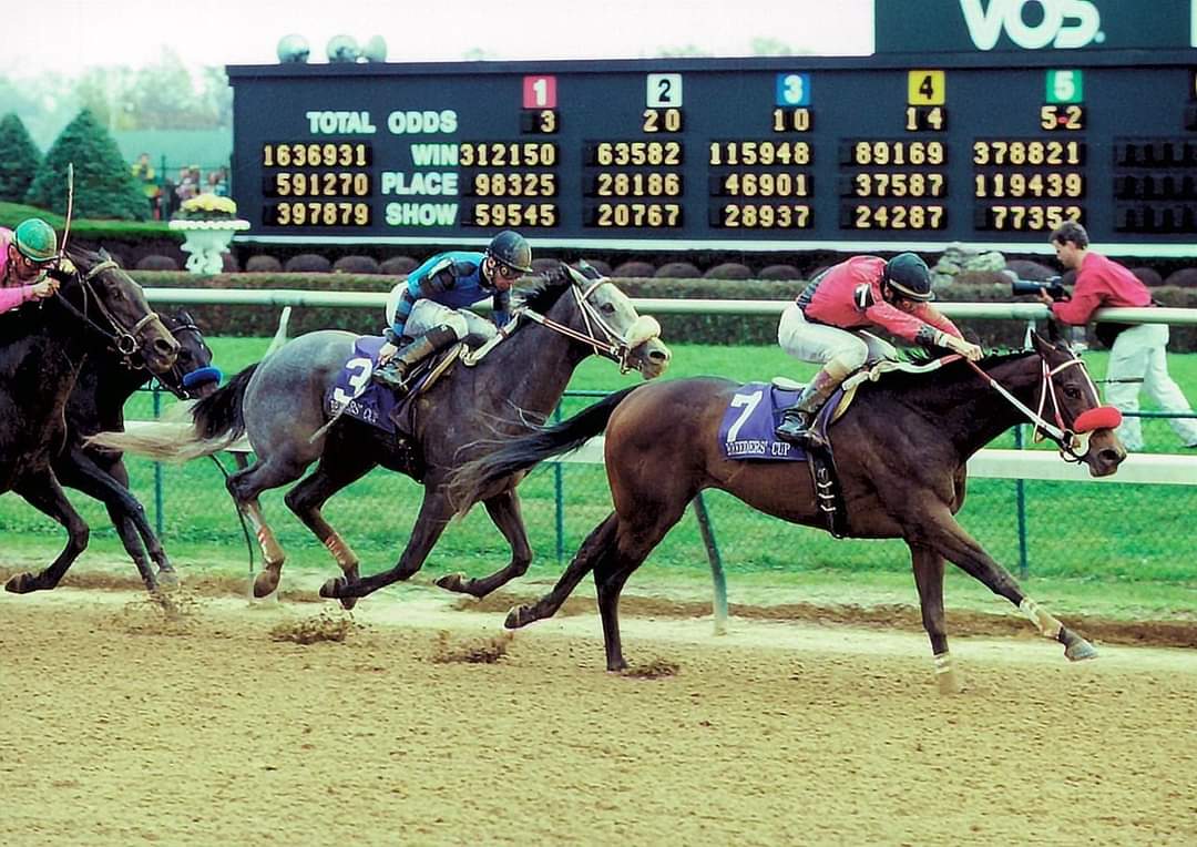 HORSERACING1002's tweet photo. CARESSING 🇺🇸 1998
(HONOUR AND GLORY - LOVIN TOUCH BY MAJESTIC PRINCE)
#Caressing https://t.co/CgZ2Sh1B1K