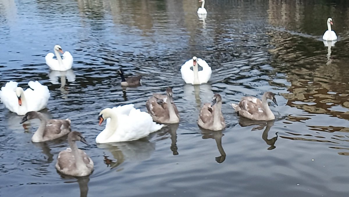 Riverside Community Voice tweet media