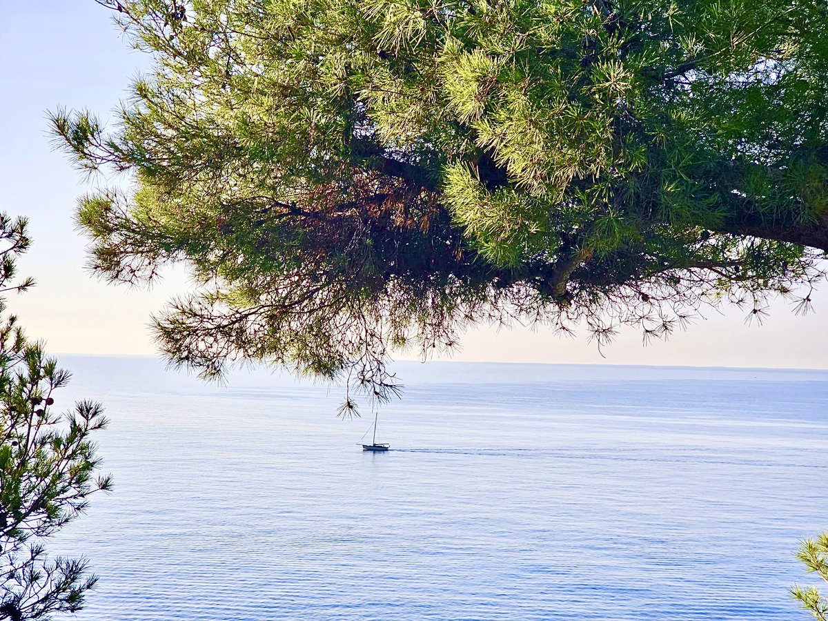 Greylag1932's tweet photo. Placidly Greylag #liguriansea #ligurian #September #septembervibes #capoberta #greylag1932 #gogreylag #smallandproud #harrisonbutlerboats https://t.co/V8OAHdi5Br