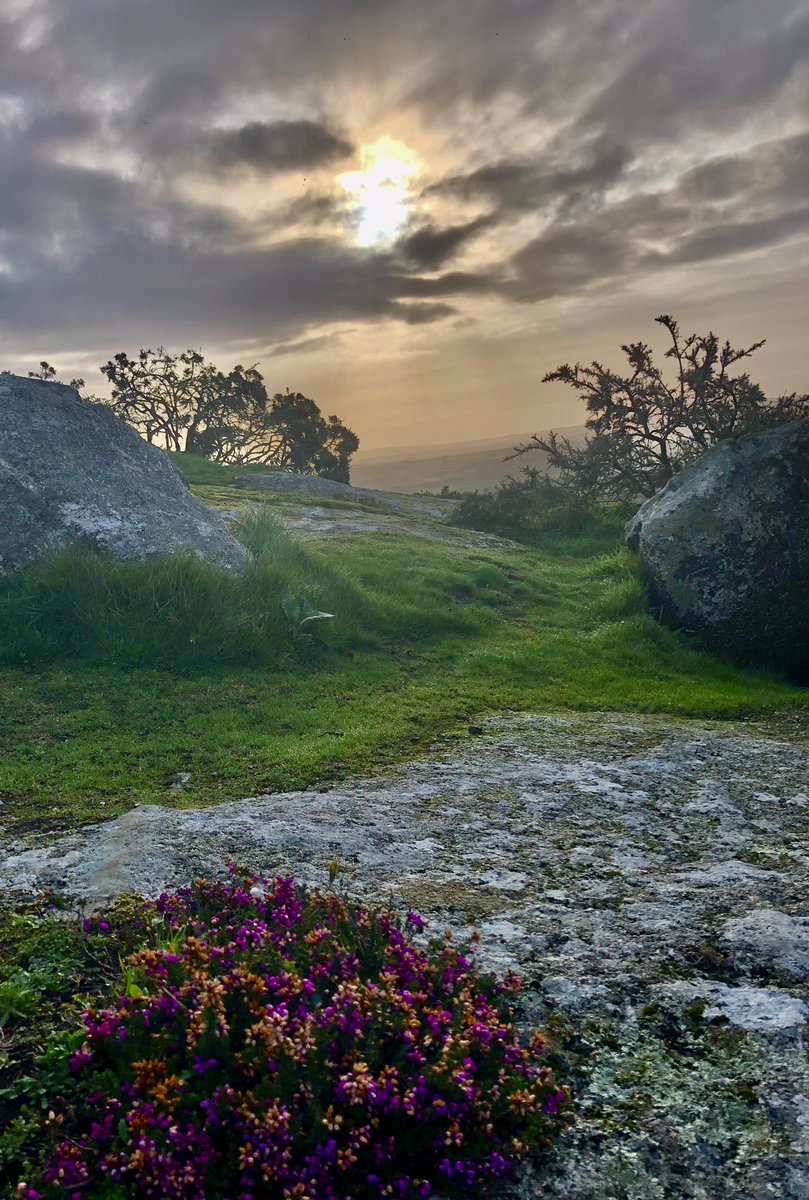 Stewart Prodger tweet media