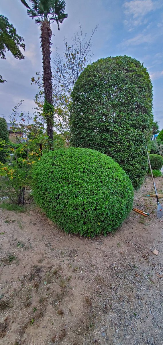 植木屋 植木屋 - Search / X