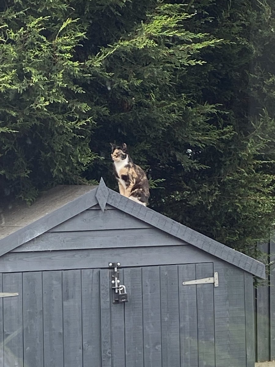 Miss Carter tweet media