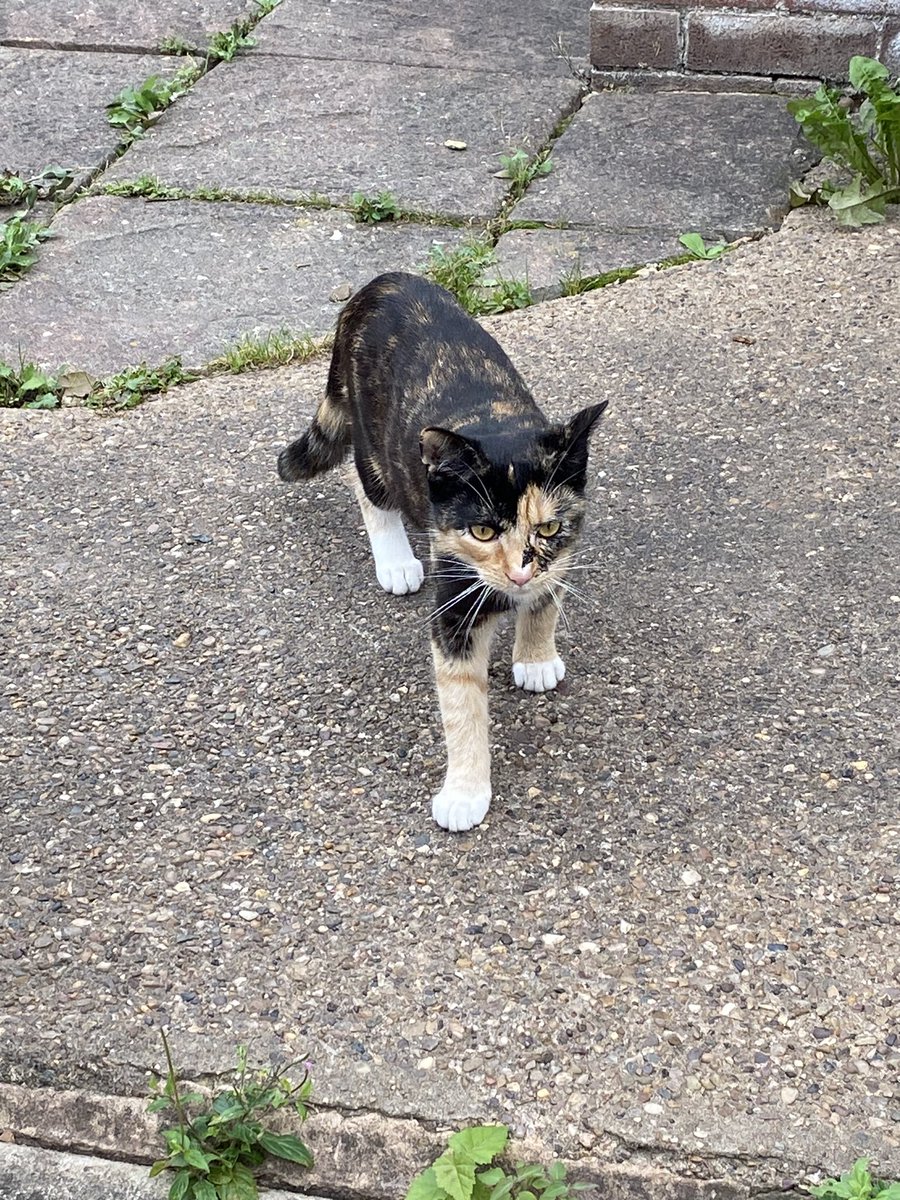 Miss Carter tweet media