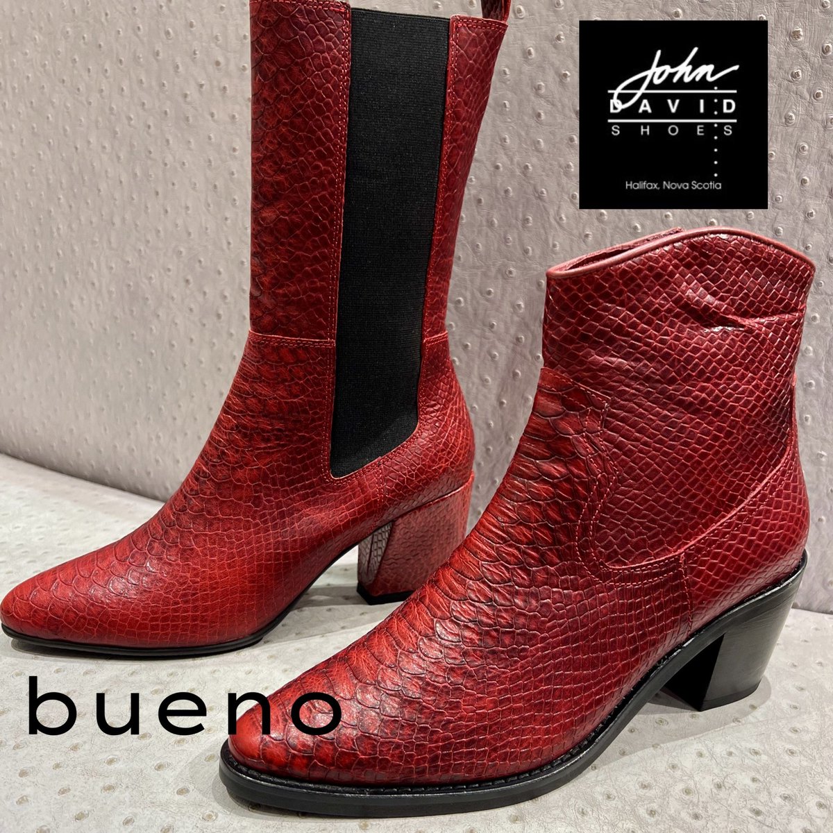 JohnDavidShoes's tweet photo. Kick up your heels in a pair of western inspired boots this weekend from Bueno Shoes Canada. Just arrived in store! “Sienna” &amp; “Valery” in red snake print leather! Shop in store Mon-Sat 10-6! FREE hour of parking in @parklanehalifax  with purchase 🛍️ https://t.co/x5W0lEW1ER