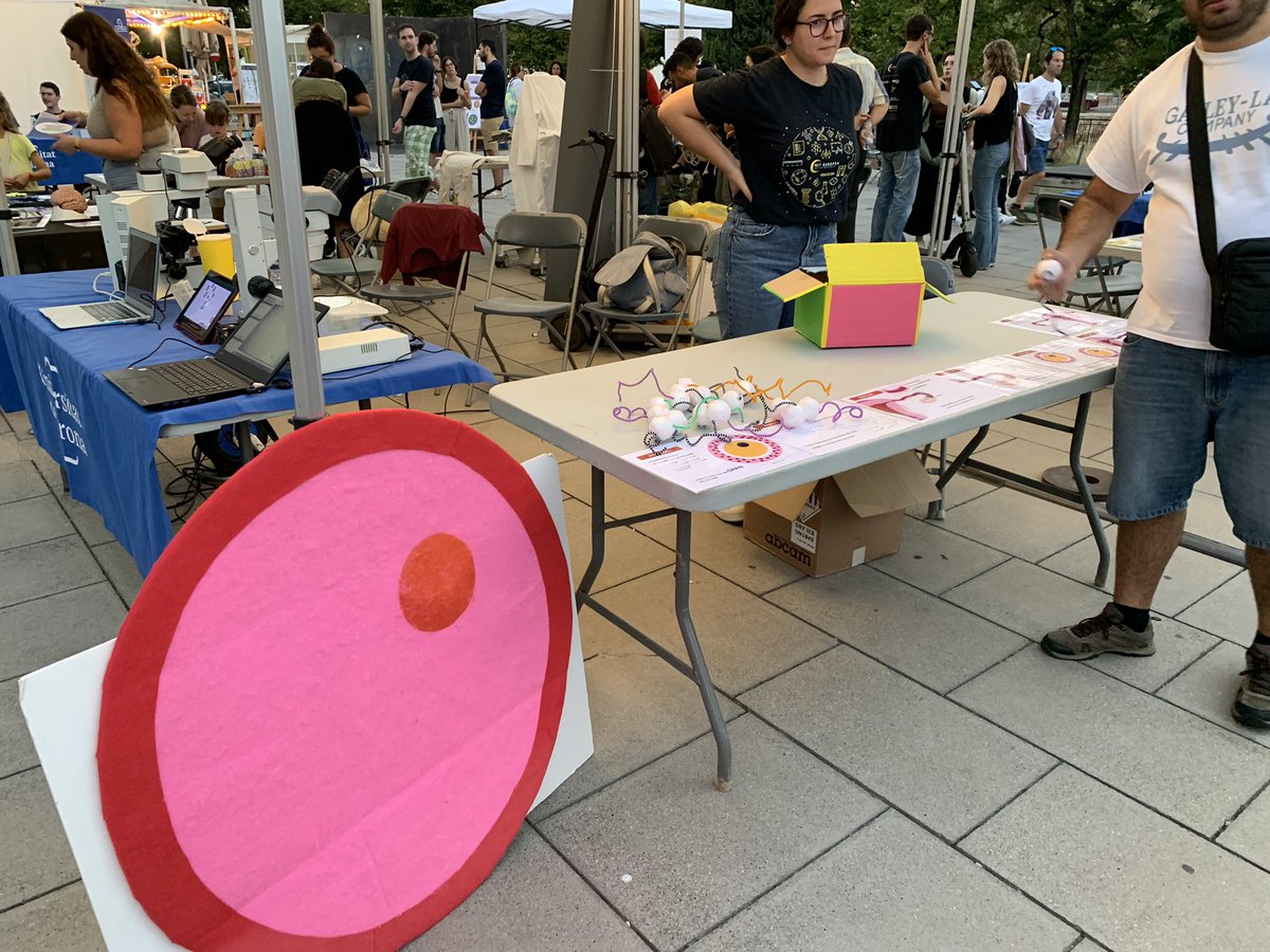 Universitat de Girona tweet media