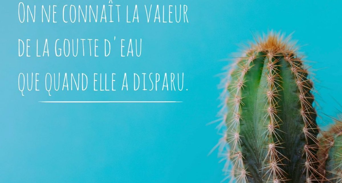 h2o sense (@senseh2o) on Twitter photo 