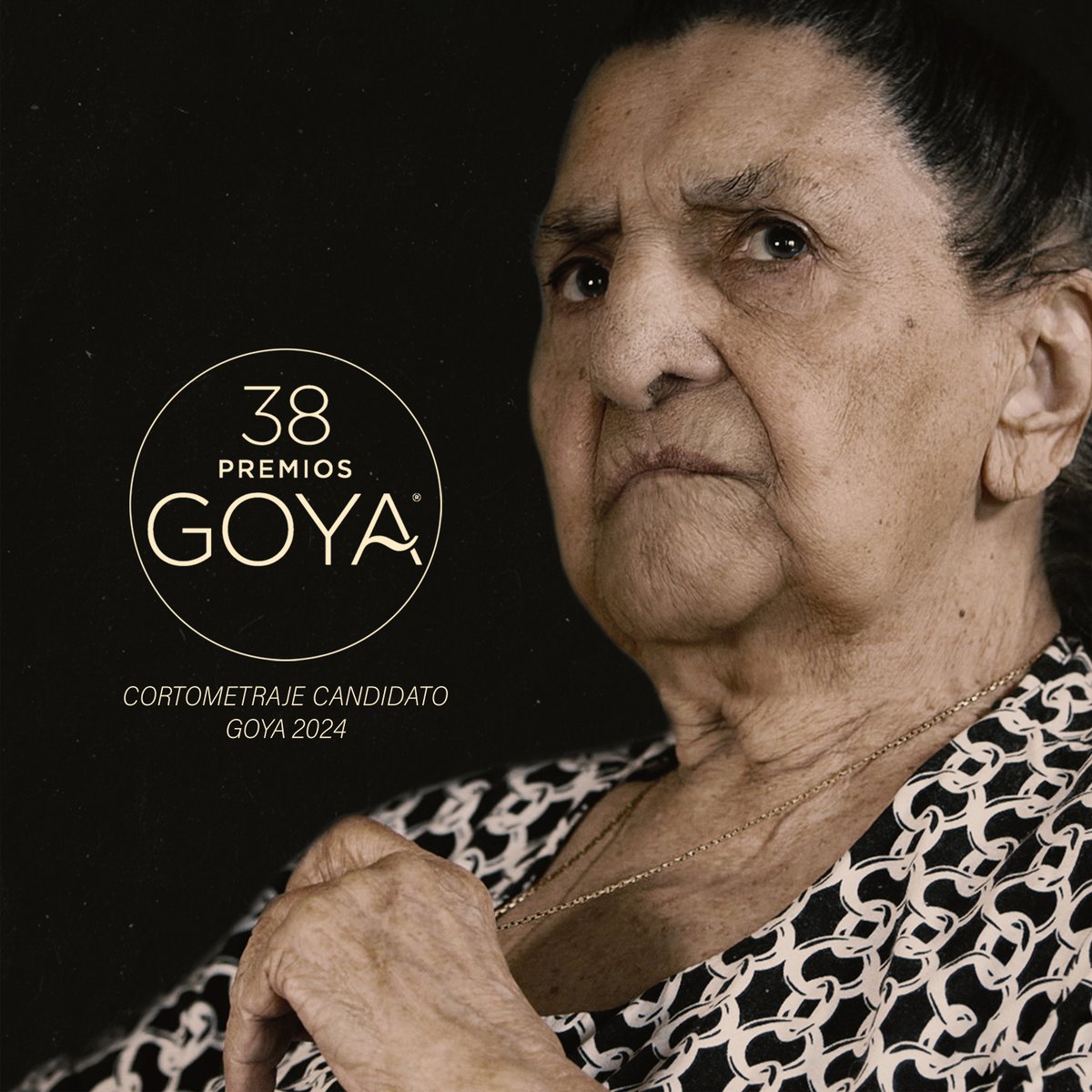 Con motivo de la candidatura a los premios Goya 2024, el documental Mi Holocausto, Philomena Franz permanecerá disponible para su reproducción hasta finales de diciembre de este año en el siguiente enlace: documental.miholocausto.com

Se agradece la difusión del mensaje ☺️.