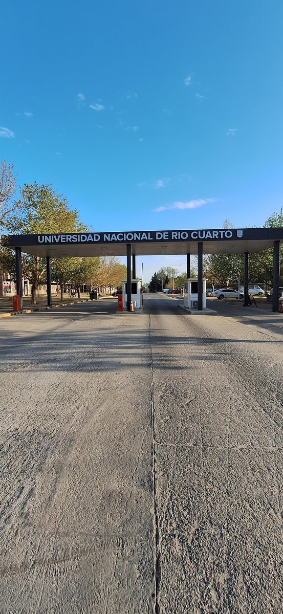 NazarioOk's tweet photo. El deporte adaptado es la prueba de que no hay límites cuando uno está convencido de lo que quiere.

Así lo demuestran Los Halcones, el equipo de básquet adaptado de la UNRC 🏀. Ellos trabajan desde hace 9 años y hoy participan de la liga como equipo federado >> https://t.co/MrMLu64Tlr