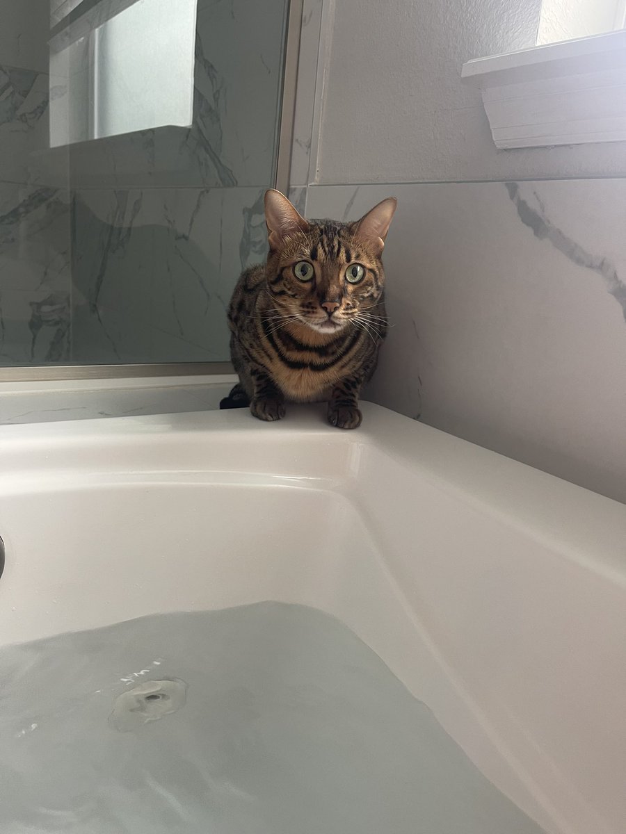 KCBC_NFT's tweet image. Bath stalker … watch out #KCBC