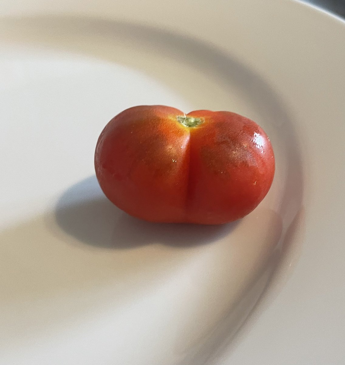 Bottomato. 

#allotment #rudeveg #wonkyveg #juicy