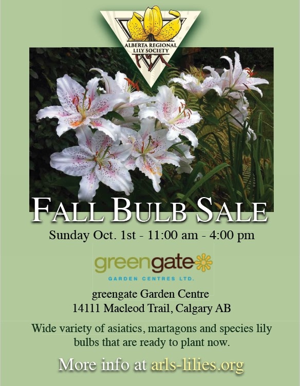 greengategarden's tweet photo. Plant flower bulbs this fall for early spring colour! Join us TOMORROW, OCTOBER 1st for the Alberta Regional Lily Society FALL BULB SALE. Choose from varieties of rare & unique bulbs including Asiatic, Martagons, Species & more!
#FallBulbs #YYC #YYCEvents #yycFlowers https://t.co/Ayi7jd8Zds