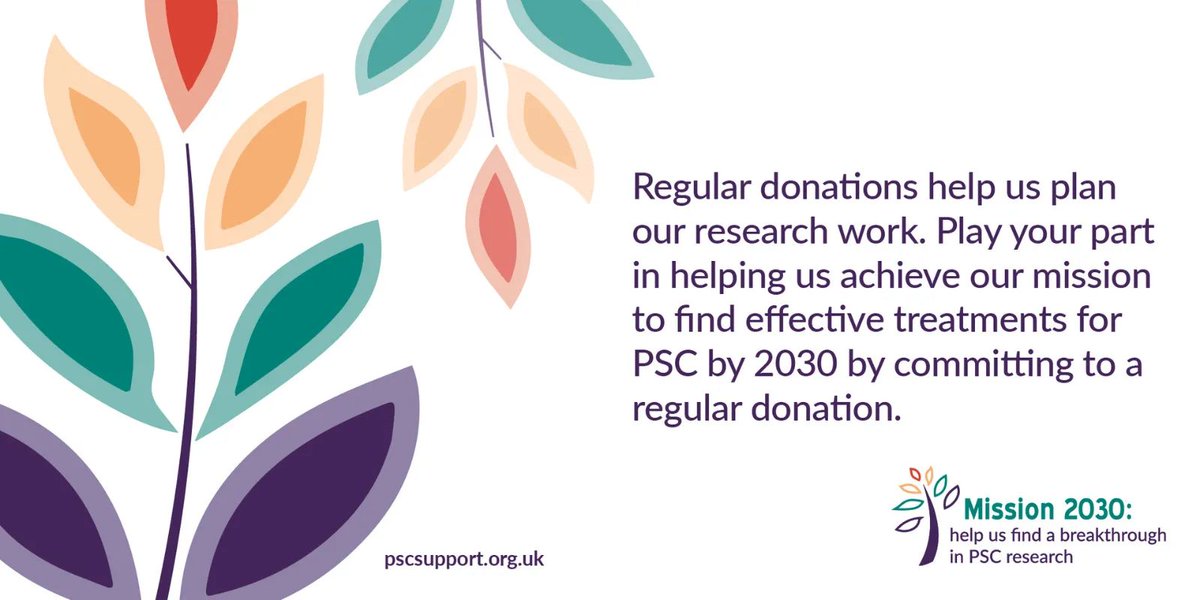 PSCSupportUK's tweet photo. By 2030, we will fund and support more #PSCresearch than ever before. #Mission2030 is our ambitious campaign committed to offering over ยฃ1million in #PSC research grants. Becoming a monthly donor is a simple way to help.
๐ https://t.co/yANootiS2z
#LetsBeatPSC ๐งก ๐ ๐ ๐ https://t.co/H4bCJyGll2