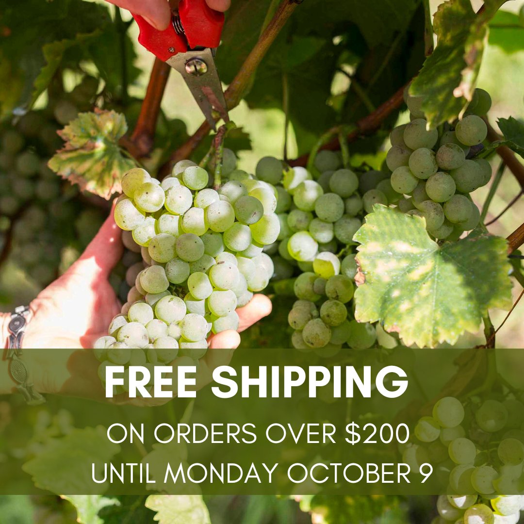 In celebration of the harvest in Croatia and Canadian #Thanksgiving  we are offering #FREESHIPPING on all web shop orders over $200.  Order by end of day October 9th
croatiaunpacked.com/mixed-cases
#wine #winetime #cheers #winelover