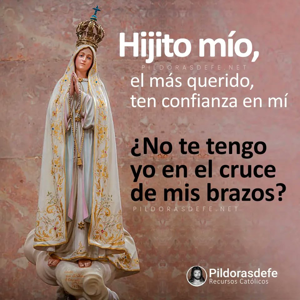 elcuradetodos's tweet photo. Abandónate en los brazos de la Madre más amorosa y Ella te llevará hasta el Paraíso. 
Ella quiere lo mismo que Jesus: que te salves.

#AmorDelBueno #MiMadreMorena #YoConfío #PrefieroElParaíso https://t.co/jFkjCaEX58