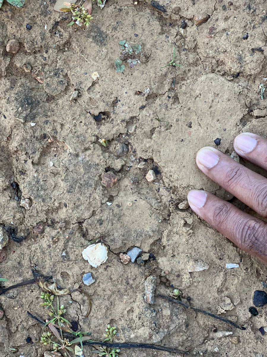 9MAY1's tweet photo. One day dirt to life.. later life to dirt.. infinite loop until you realize. Shree radhe! https://t.co/gwCB7xNSrw