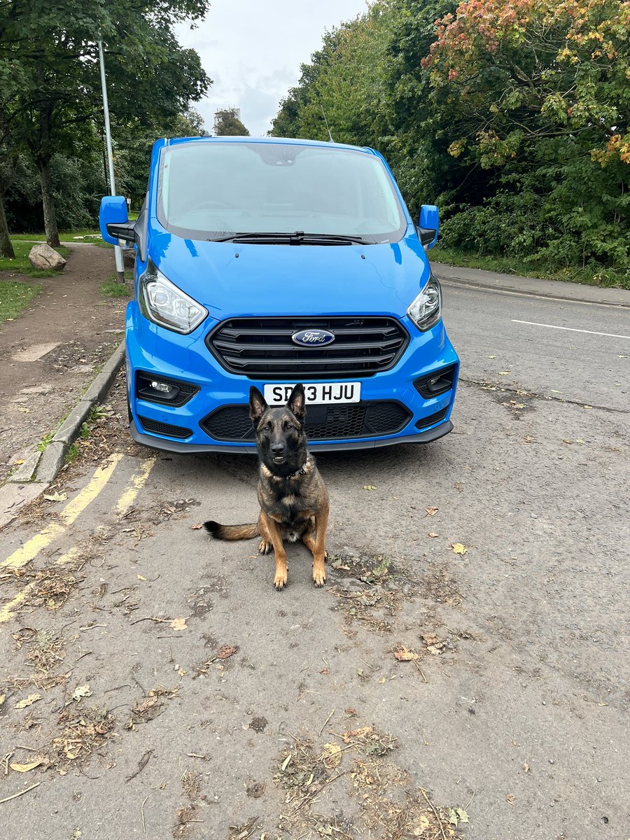 ParaBrian1's tweet photo. "Just picked up the new van #TransitMSRT for Pyro 🐶🚐 He's one happy Mali and we're ready for some epic adventures together! 🐾❤️ #DogLife #AdventureTime" https://t.co/flxgSWX11u