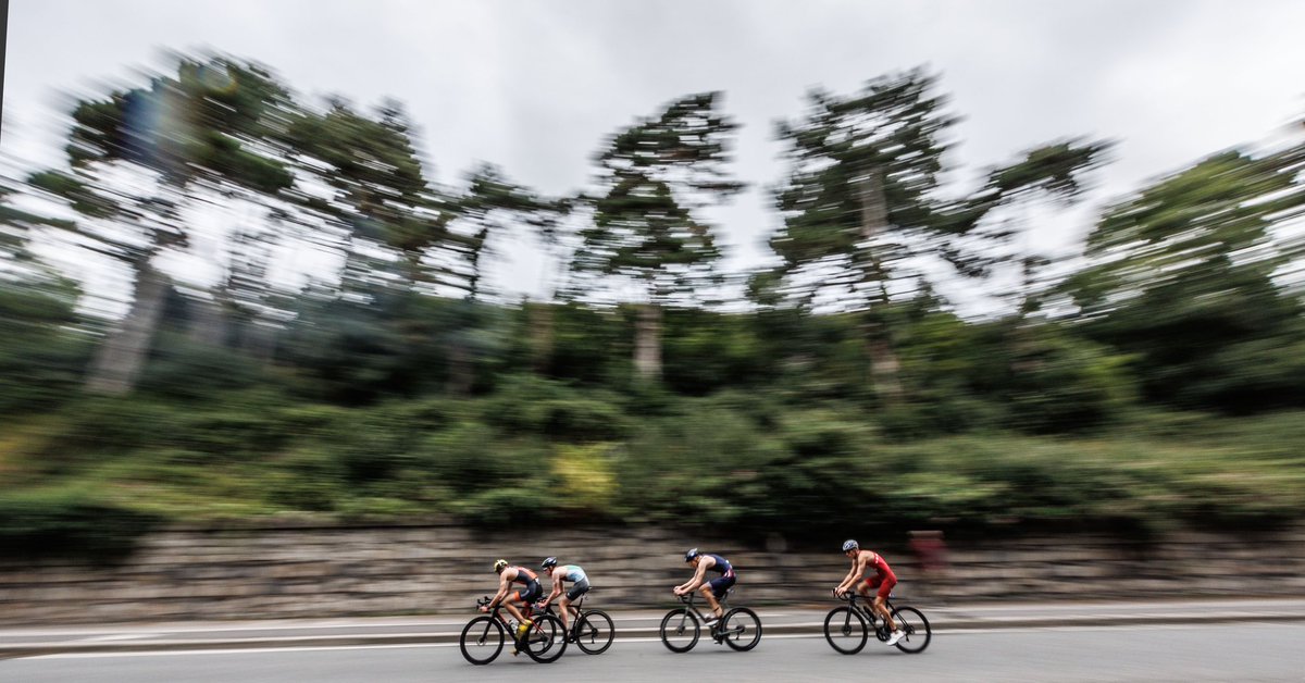 𝟮𝟬𝟮𝟯 𝗖𝗼𝗮𝗰𝗵𝗶𝗻𝗴 𝗠𝗮𝘀𝘁𝗲𝗿𝗰𝗹𝗮𝘀𝘀 𝗦𝗲𝗿𝗶𝗲𝘀 📚

3️⃣ webinars that will cover topics 👇
▪️Coaching the Performance Pathway
▪️Integrating S&amp;C
▪️Nutrition and Body Composition 

Click the link to learn more and book your place 🔗 bit.ly/3Q0iJvL