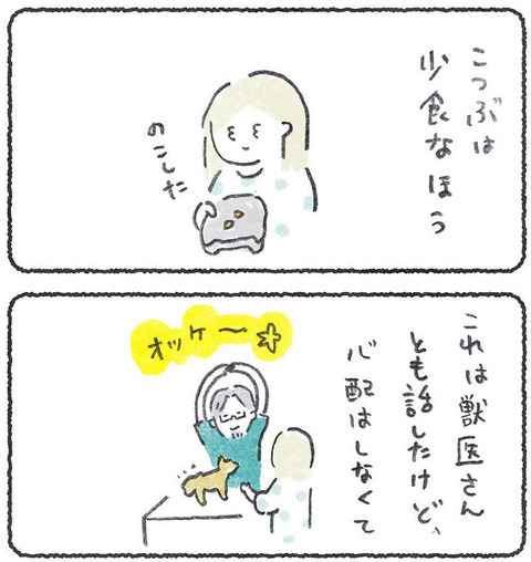 こつぶは少食だよ
って話https://t.co/OzQ5WWotfr 