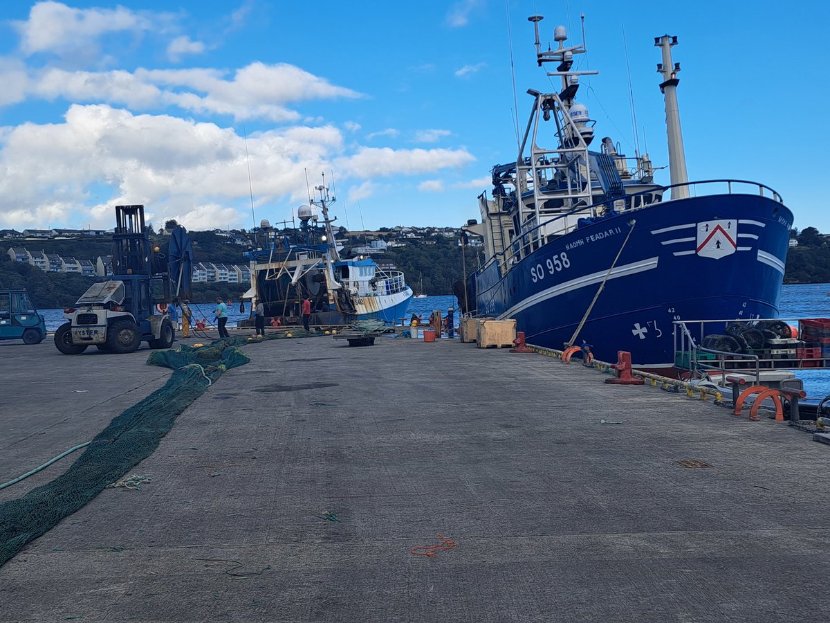 TomMacSweeney's tweet photo. From MARINE TIMES newspaper: CSO figures show that last year foreign vessels landed 110,259 tonnes of #fish at Irish ports which was 41% of all landings. The amount landed by Irish boats decreased. Shows the impact of #Govt and EU policies. More on this in MARINE TIMES Oct issue. https://t.co/fFAtNJF62P