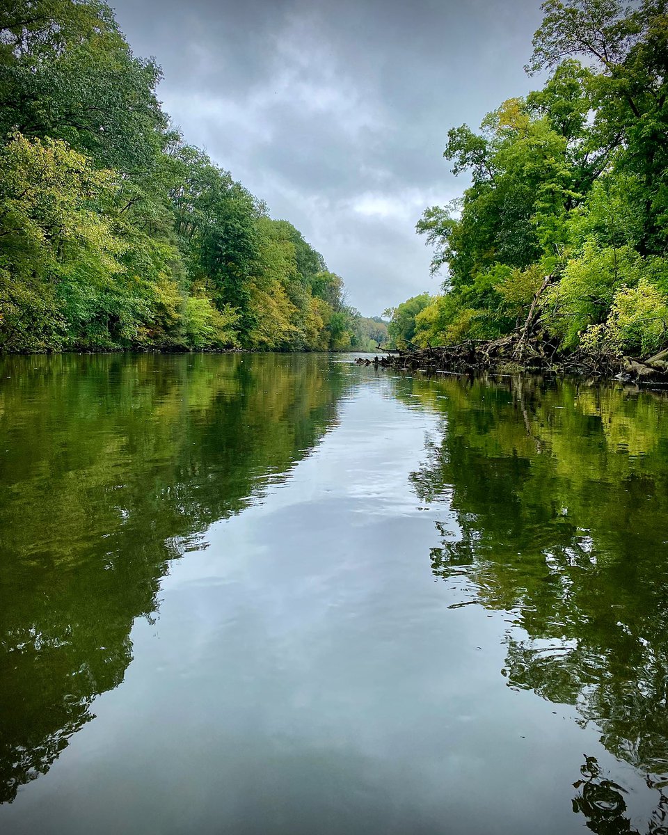 The leaves are starting to turn.. 🍁

#perfecthatch #flyfishing #fishing #fall #flyfish365 #flyfishinglife #flyfishingnation #outdoorlife #getoutdoors #outdoors #naturelovers #nature #fishinglife #fishinglifestyle #fishingculture