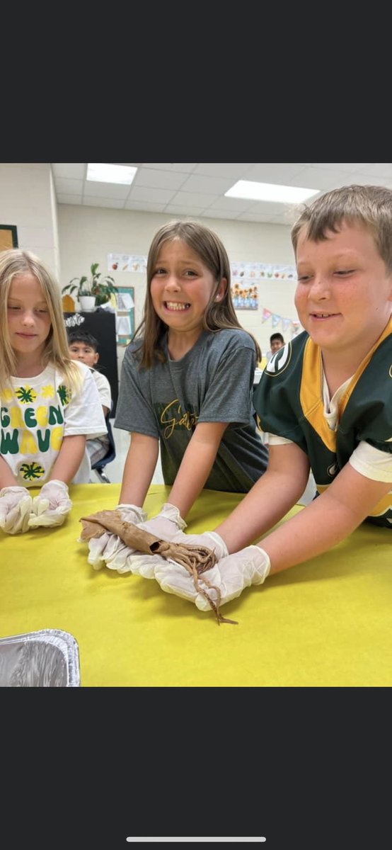 Our third graders at VSE finished up their Module 1 learning by dissecting squids. Please enjoy <a href="/LaurenS2508_/">Lauren Schneider</a> ‘s face as she finds a whole fish inside of one. #sumnerachieves