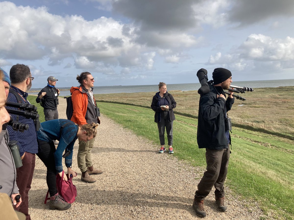 One of the amazing excursion organized by @WaderStudy on Sylt Island #IWSG2023