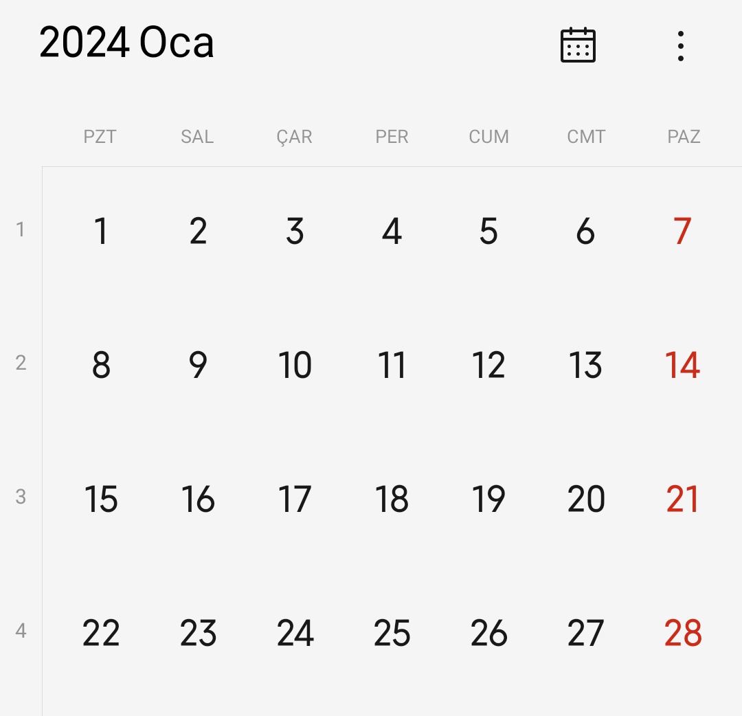 Canım sıkıldıkça 2024'un ocak ayına bakıyorum şu nizama bakar mısınız