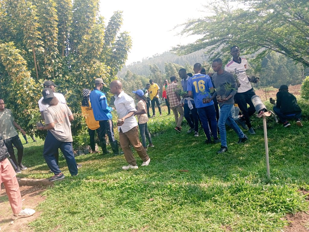 Uyu munsi taliki 30 sep, #rfncsa_rwanda hamwe nabandi banyeshuli bavuye muri #Uni_Rwanda huye campus bifatanije ninzego zitandukanye m'UMUGANDA ,wabereye mukarere ka huye Aho DG wa #RwandaForestry na Minister of health basobanuriye abitabiriye umuganda Aho ibiti bihuriye nubuzima