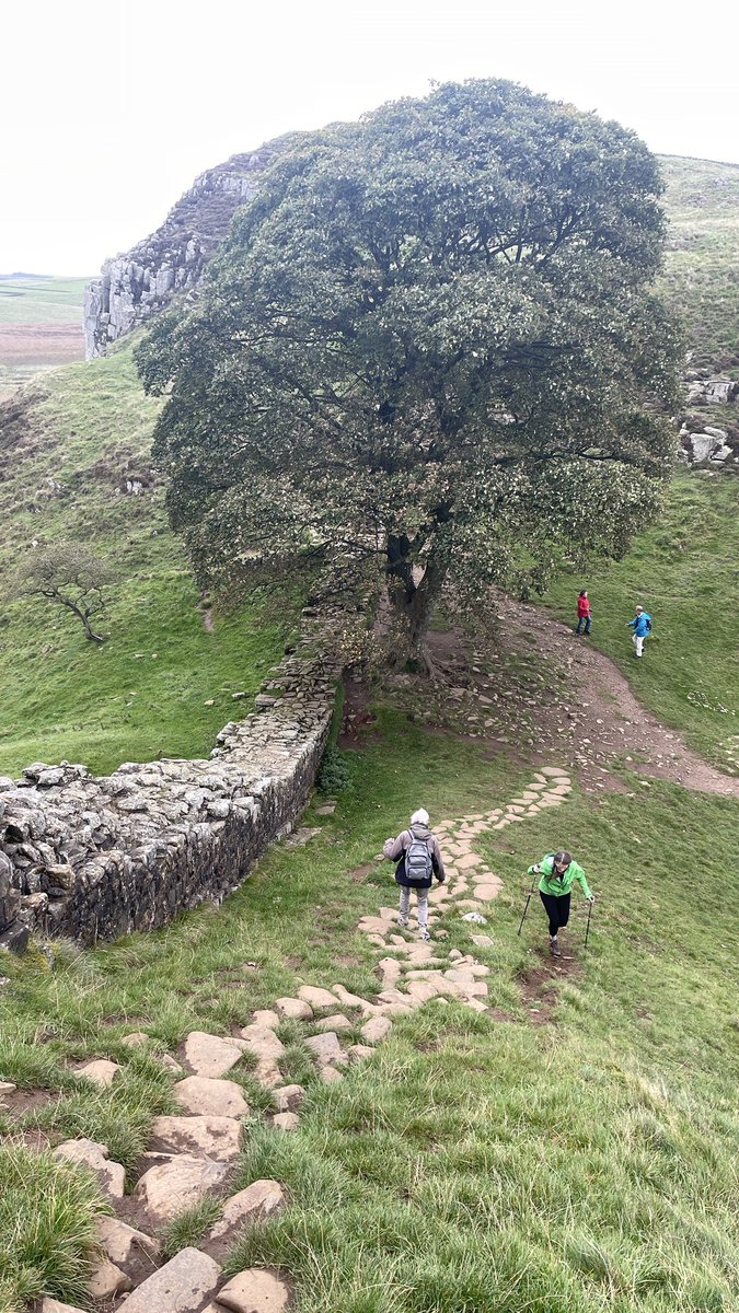 HazenbergArcheologie tweet media