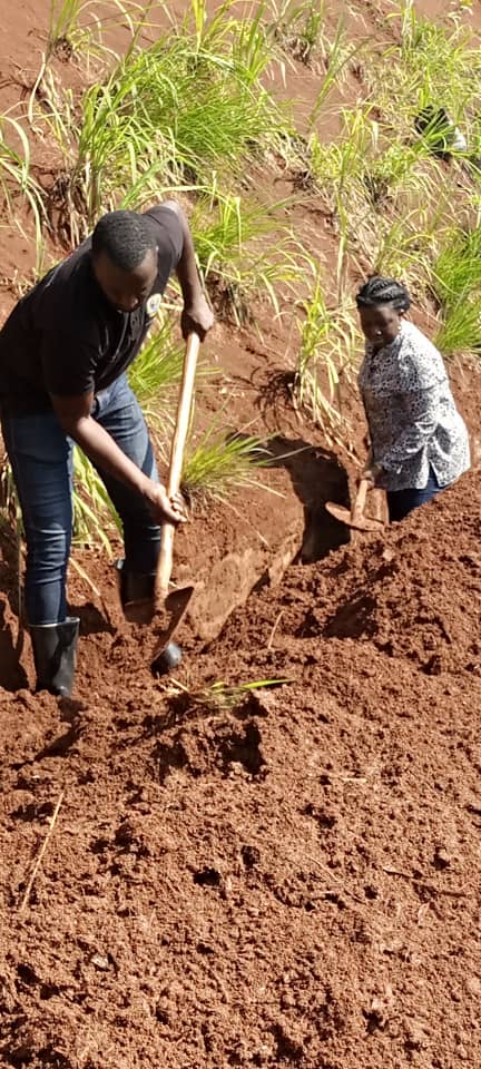 RANGIRO SECTOR tweet media