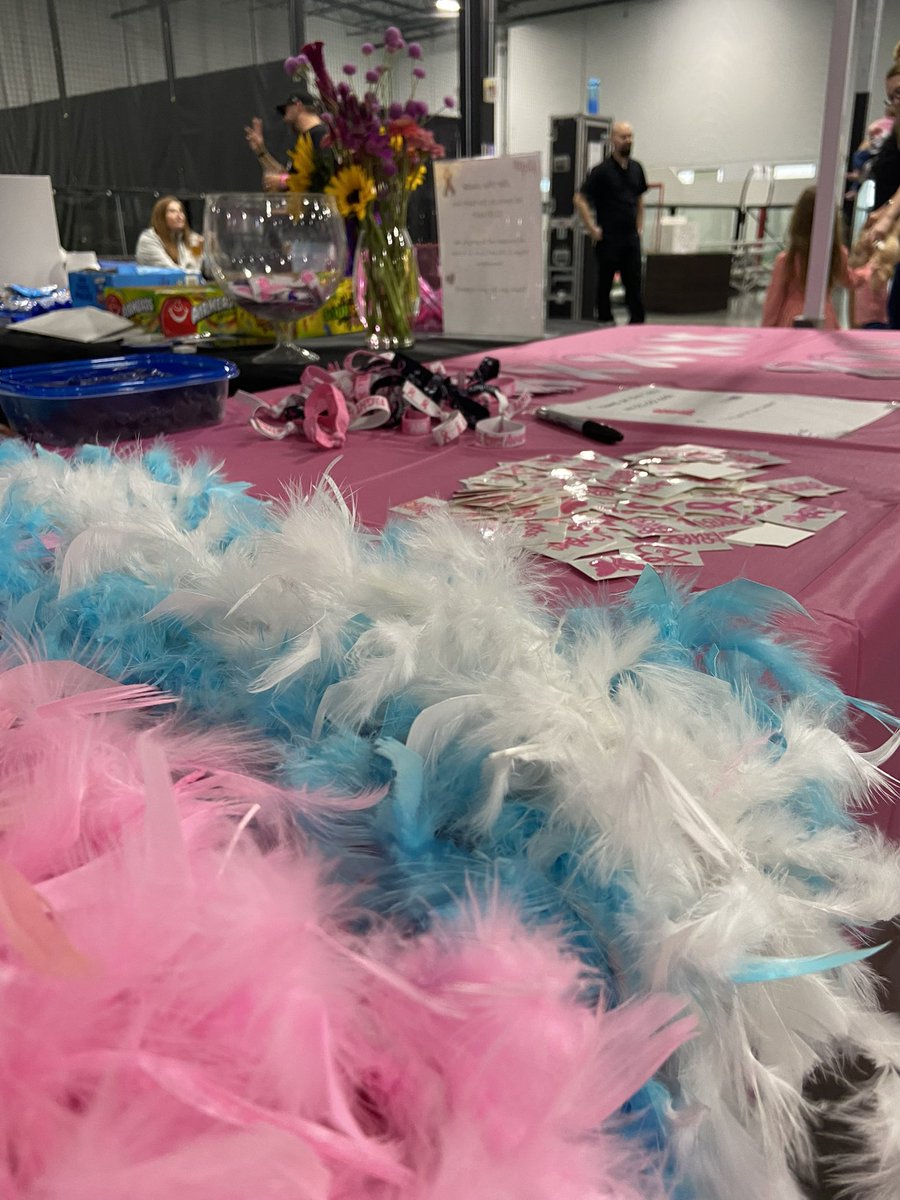 IndyPremierSC's tweet photo. 🎉Great party last night and look forward to next year already!🎊#pinkparty #premierparty #raisefundsandawareness https://t.co/gddYxuXkJB