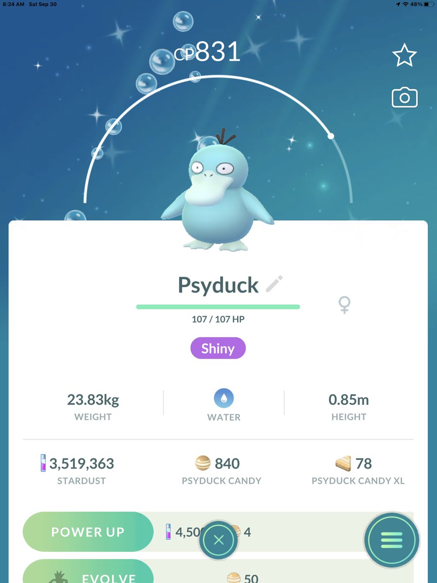 LadyDi1002's tweet photo. Another ✨🦆 that the GO plus plus caught and sadly... I dont like the evolution so...
#ShinyPsyduck
#TwoDucks
#PoGO
#GOPlusPlusCatch https://t.co/YUwRKovr9y