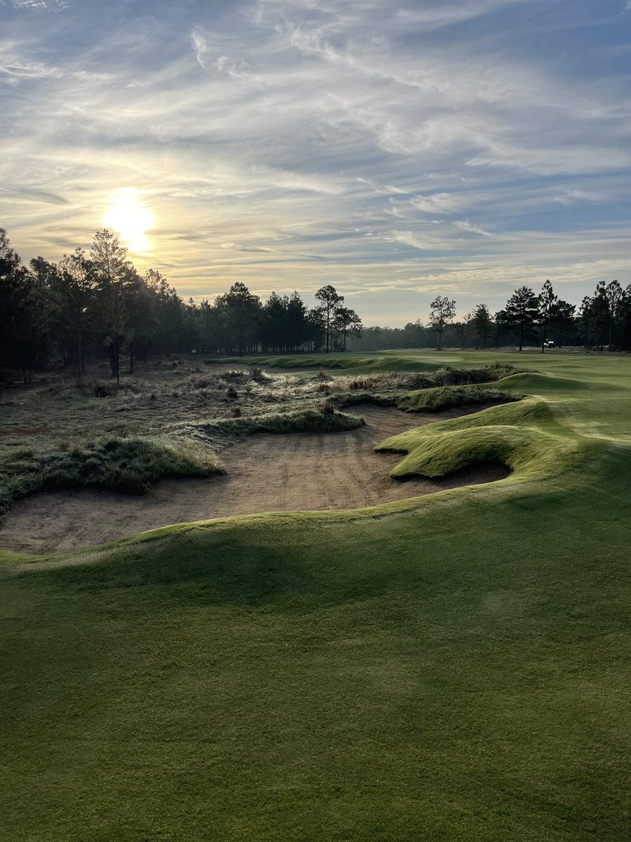 August Rocco tweet media