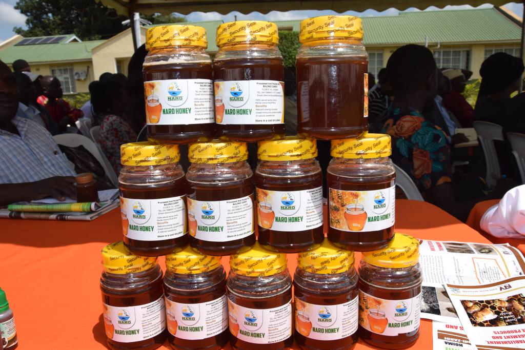 narouganda's tweet photo. Apiary training sessions at the ongoing seeds of gold farm clinic @BulindiZ. 

*Bees are a big part of the agricultural ecosystem. 

#Beekeeping adds tremendous economic and environmental value to agriculture &amp; farmers in particular. https://t.co/4CptpKTDmD