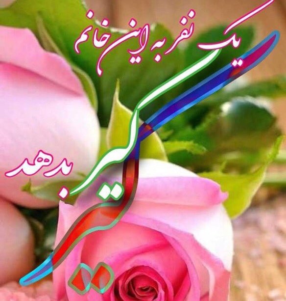 Shakiba tweet media