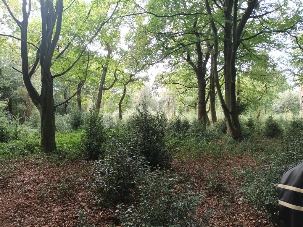 On woodland and heathland landscape restoration  tour of Sutton Park today with the brilliant Matt from <a href="/SuttonParkNNR/">Sutton Ranger</a> - stunning story of long term success!