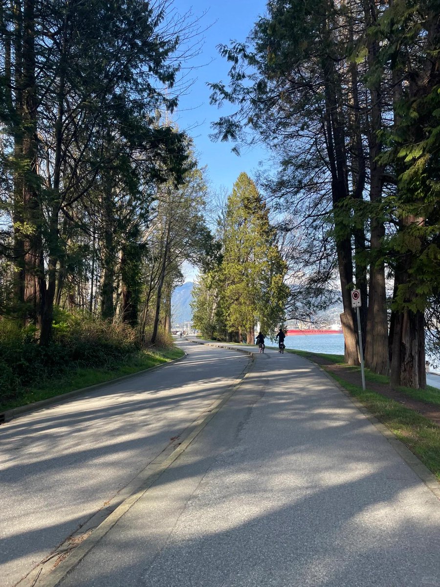 Make a pilgrimage to Stanley park 🏃